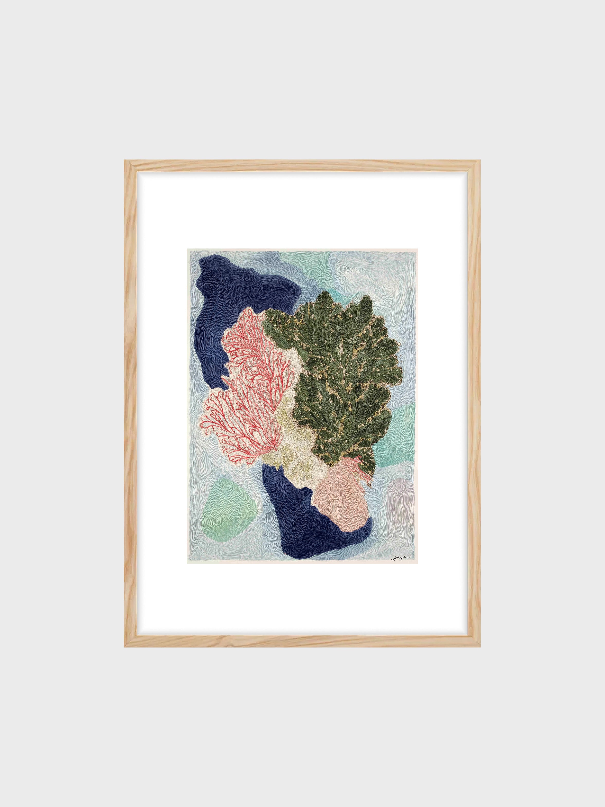 Textured Coral Forms