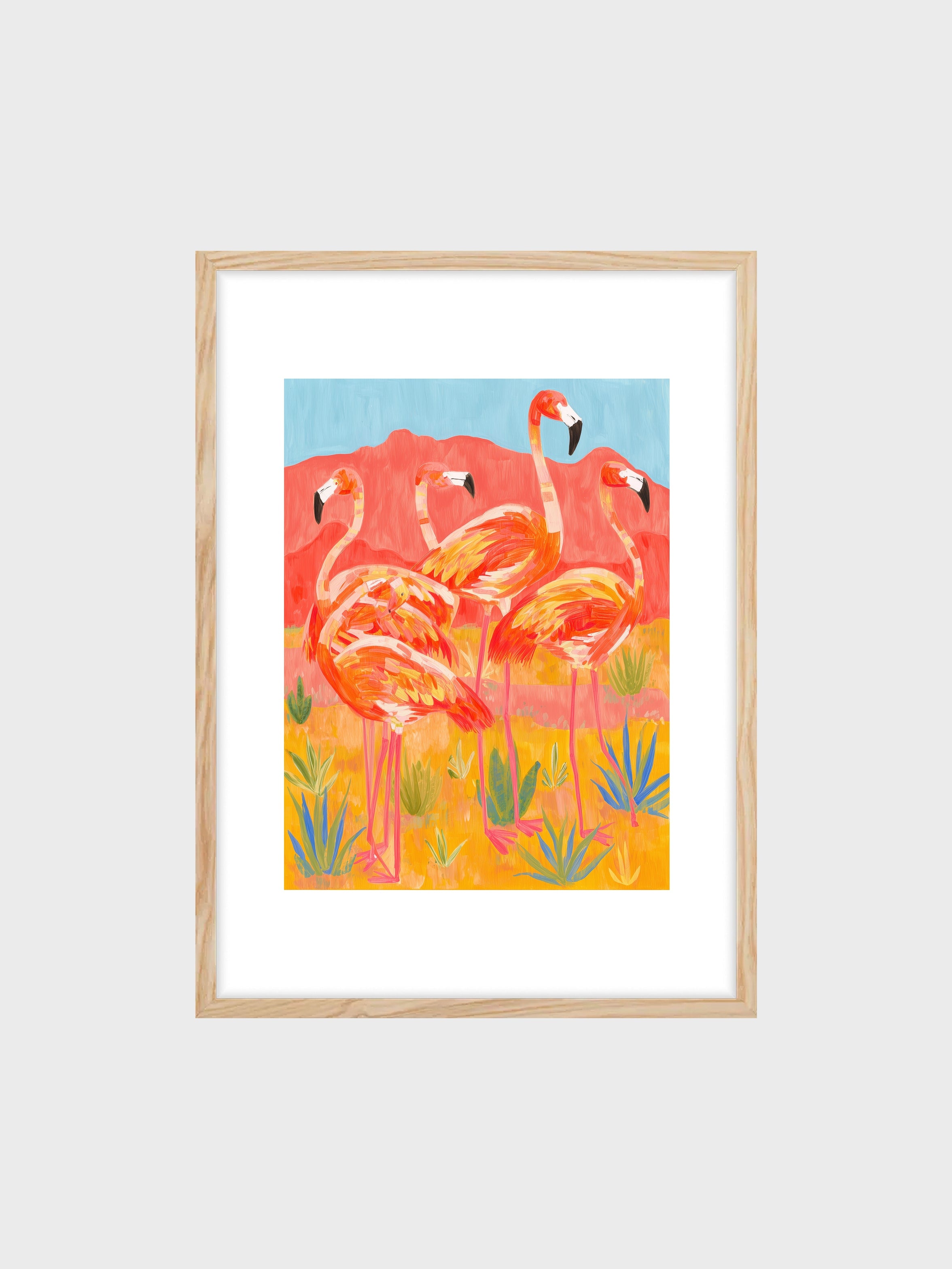 Flamingo Gathering