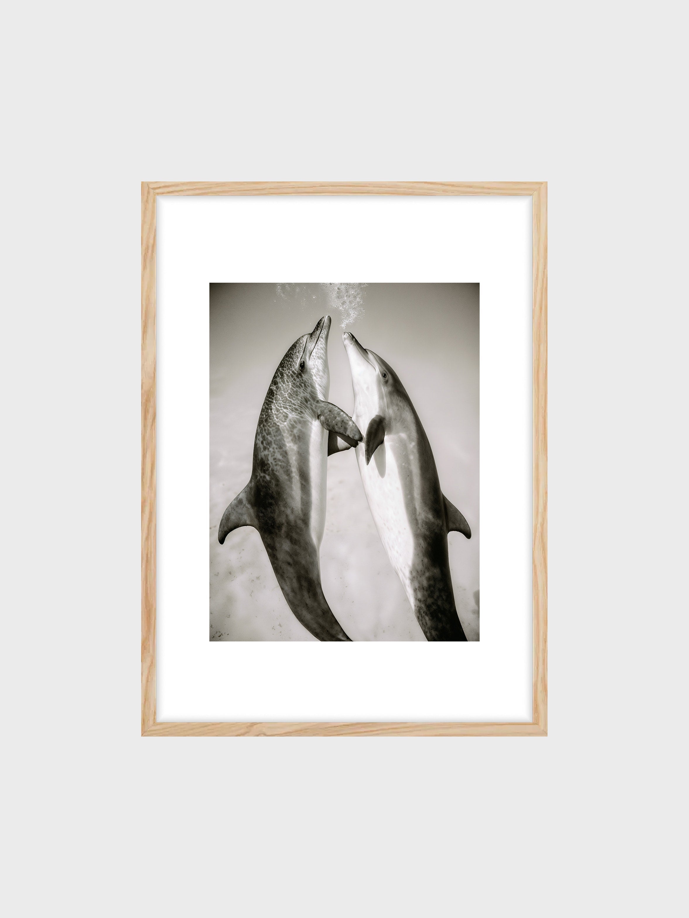 Dolphin Duo
